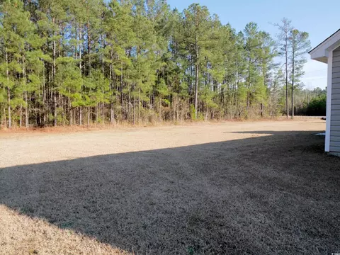 Exterior - 106 Berkman Ct, Conway, SC 29527 photo 4 of 7