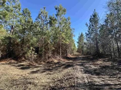 tbd Henneghan Rd, Coward, SC 29530