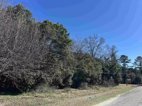 tbd Legion St, Dillon, SC 29536 photo 3