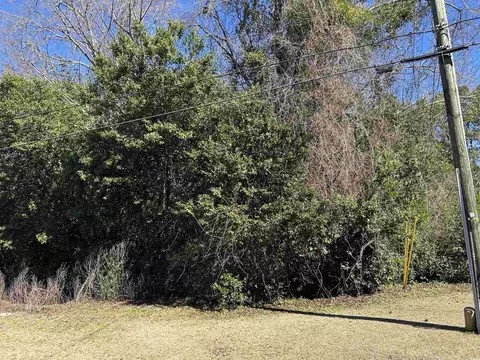 tbd Legion St, Dillon, SC 29536 photo 4