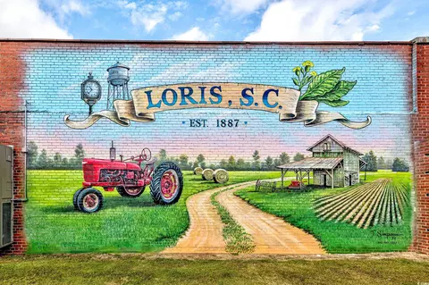 2900 Cherry Hill Rd, Loris, SC 29569 photo 30