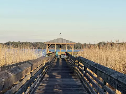 159 Commanders Island Rd, Georgetown, SC 29440 photo 5