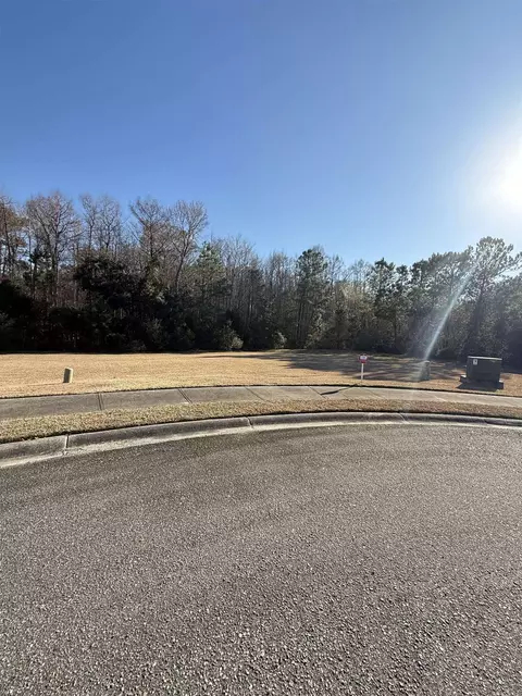 159 Commanders Island Rd, Georgetown, SC 29440 photo 2