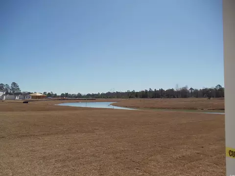 251 Warner Crossing Way, Loris, SC 29569 photo 3