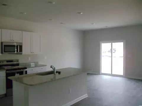 251 Warner Crossing Way, Loris, SC 29569 photo 2