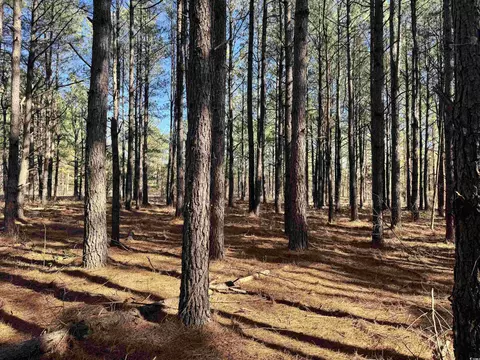 tbd Copeland Moody Rd, Marion, SC 29571