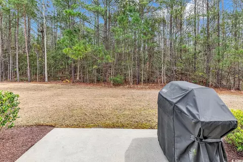 502 Botany Loop #502, Murrells Inlet, SC 29576 photo 29