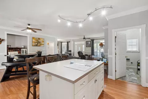 450 Deer Spring Loop, Georgetown, SC 29440 photo 14