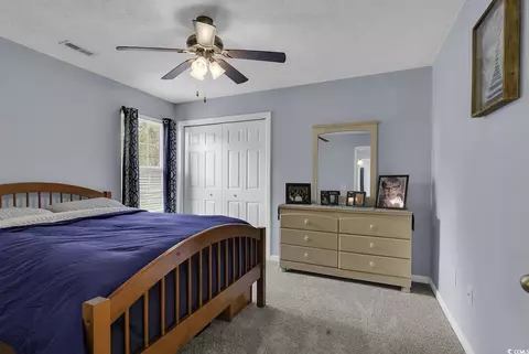 248 Upper Saddle Cir, Conway, SC 29526 photo 17