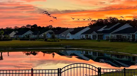 View/Area - 615 Shortleaf Path, Myrtle Beach, SC 29577 photo 1 of 7