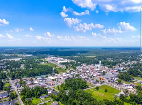 300 Goretown Loop, Loris, SC 29569 photo 37