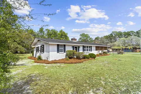 300 Goretown Loop, Loris, SC 29569 photo 29