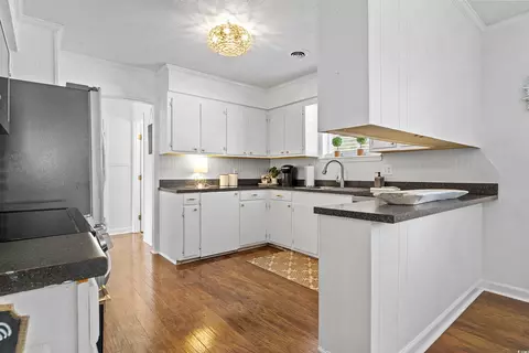 300 Goretown Loop, Loris, SC 29569 photo 8