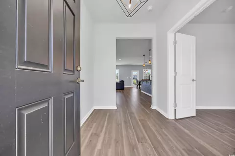 Entry Way - 3304 Candytuft Dr, Conway, SC 29526 photo 1 of 5