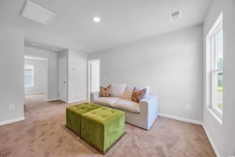 204 Leaflet Loop, Pawleys Island, SC 29585 photo 18