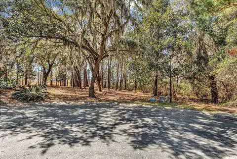 tbd Congressional Dr, Pawleys Island, SC 29585