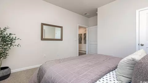 7383 Meadow Walk Loop, Loris, SC 29569 photo 26