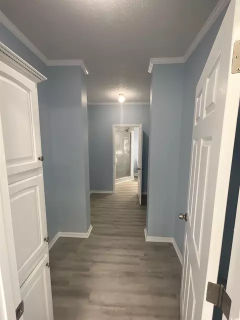 Entry Way - 3534 Carter Rd, Loris, SC 29569 photo 4 of 5