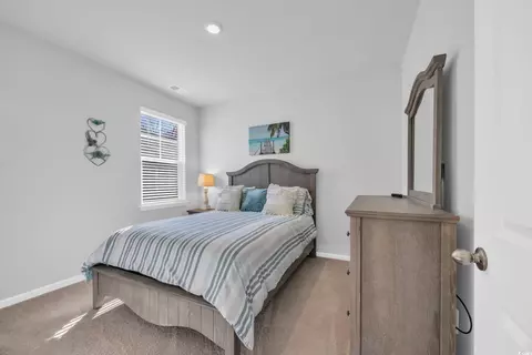 223 Juniata Loop, Little River, SC 29566 photo 9
