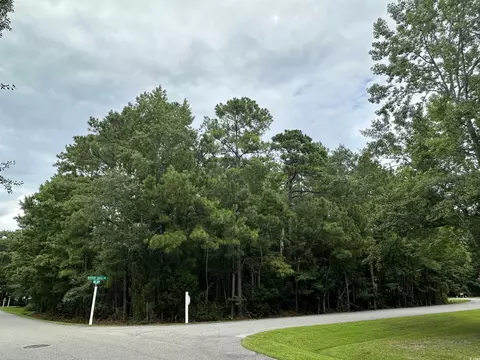 lot170 Oyster Shell Ln, Pawleys Island, SC 29585