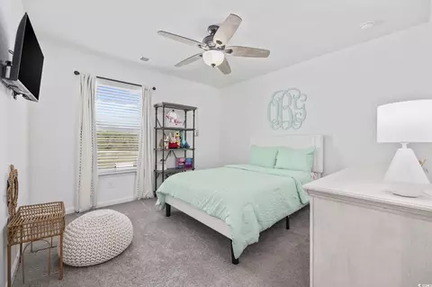 Bedroom - 206 Math Pl, Longs, SC 29568 photo 4 of 4