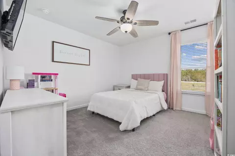 Bedroom - 206 Math Pl, Longs, SC 29568 photo 3 of 4