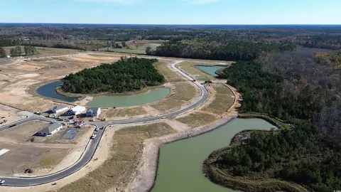View/Area - 893 Farmers Passage Loop, Loris, SC 29569 photo 1 of 1