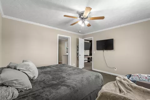 2600 Daisy Rd, Loris, SC 29569 photo 17