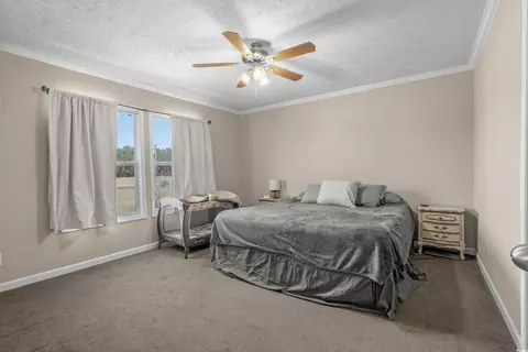 2600 Daisy Rd, Loris, SC 29569 photo 16