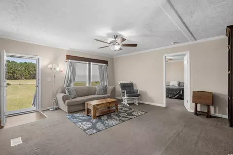2600 Daisy Rd, Loris, SC 29569 photo 3