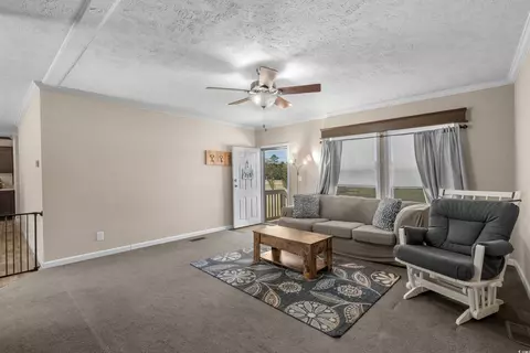 2600 Daisy Rd, Loris, SC 29569 photo 6