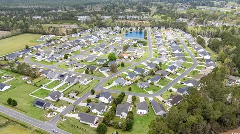 View/Area - 503 White Bark St, Longs, SC 29568 photo 4 of 5