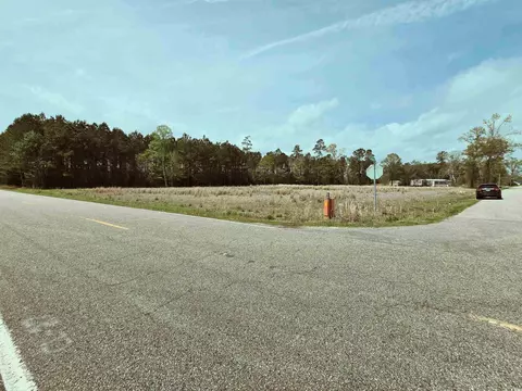 tbd 3 Highway 366, Loris, SC 29569