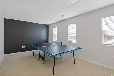 Other - 808 Wild Leaf Loop, Conway, SC 29526 photo 6 of 9