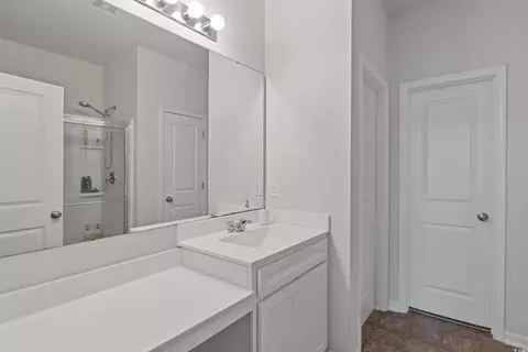 Bath - 808 Wild Leaf Loop, Conway, SC 29526 photo 1 of 2