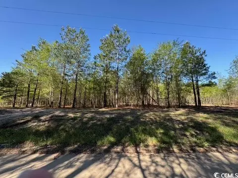 0 Barts Rd, Loris, SC 29569 photo 14