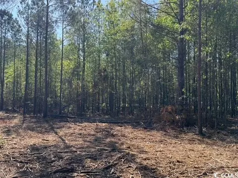 0 Barts Rd, Loris, SC 29569 photo 8