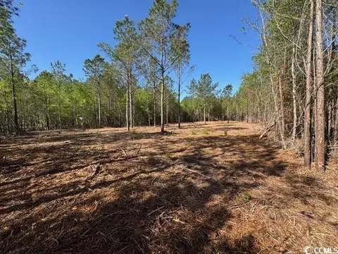 0 Barts Rd, Loris, SC 29569 photo 5