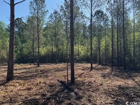 0 Barts Rd, Loris, SC 29569 photo 9