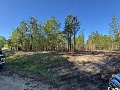 0 Barts Rd, Loris, SC 29569