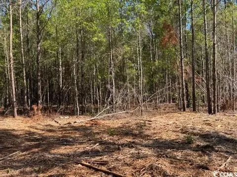 0 Barts Rd, Loris, SC 29569 photo 11