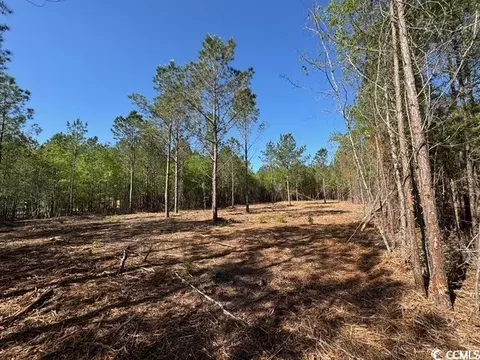0 Barts Rd, Loris, SC 29569 photo 3