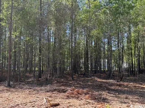 0 Barts Rd, Loris, SC 29569 photo 7