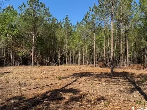 0 Barts Rd, Loris, SC 29569 photo 6