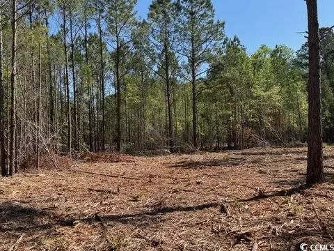 0 Barts Rd, Loris, SC 29569 photo 10
