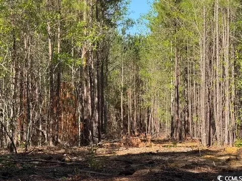 0 Barts Rd, Loris, SC 29569 photo 2
