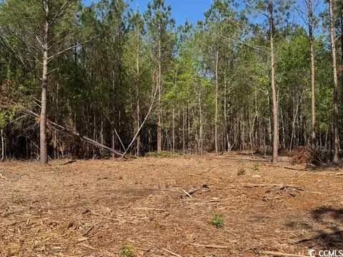 0 Barts Rd, Loris, SC 29569 photo 13