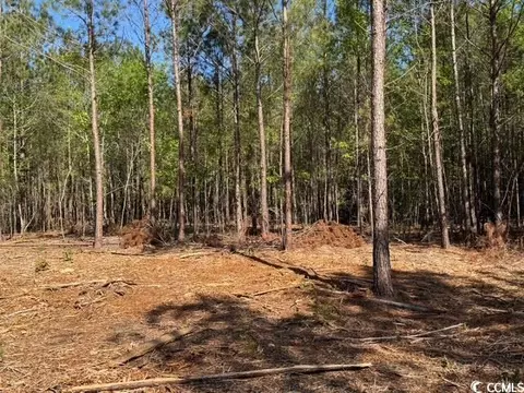 0 Barts Rd, Loris, SC 29569 photo 12