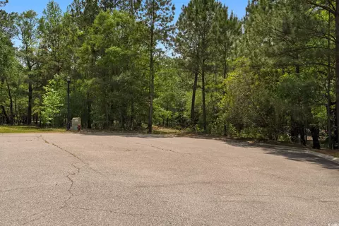 360 Cypress Flat Ct, Conway, SC 29526 photo 28