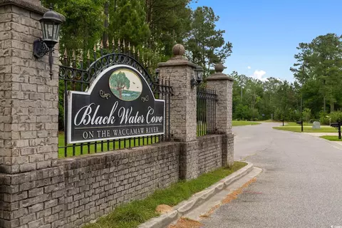 360 Cypress Flat Ct, Conway, SC 29526 photo 33